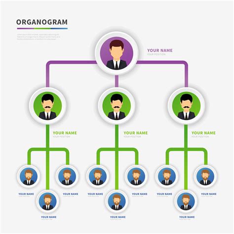 organogram bedrijfsleider